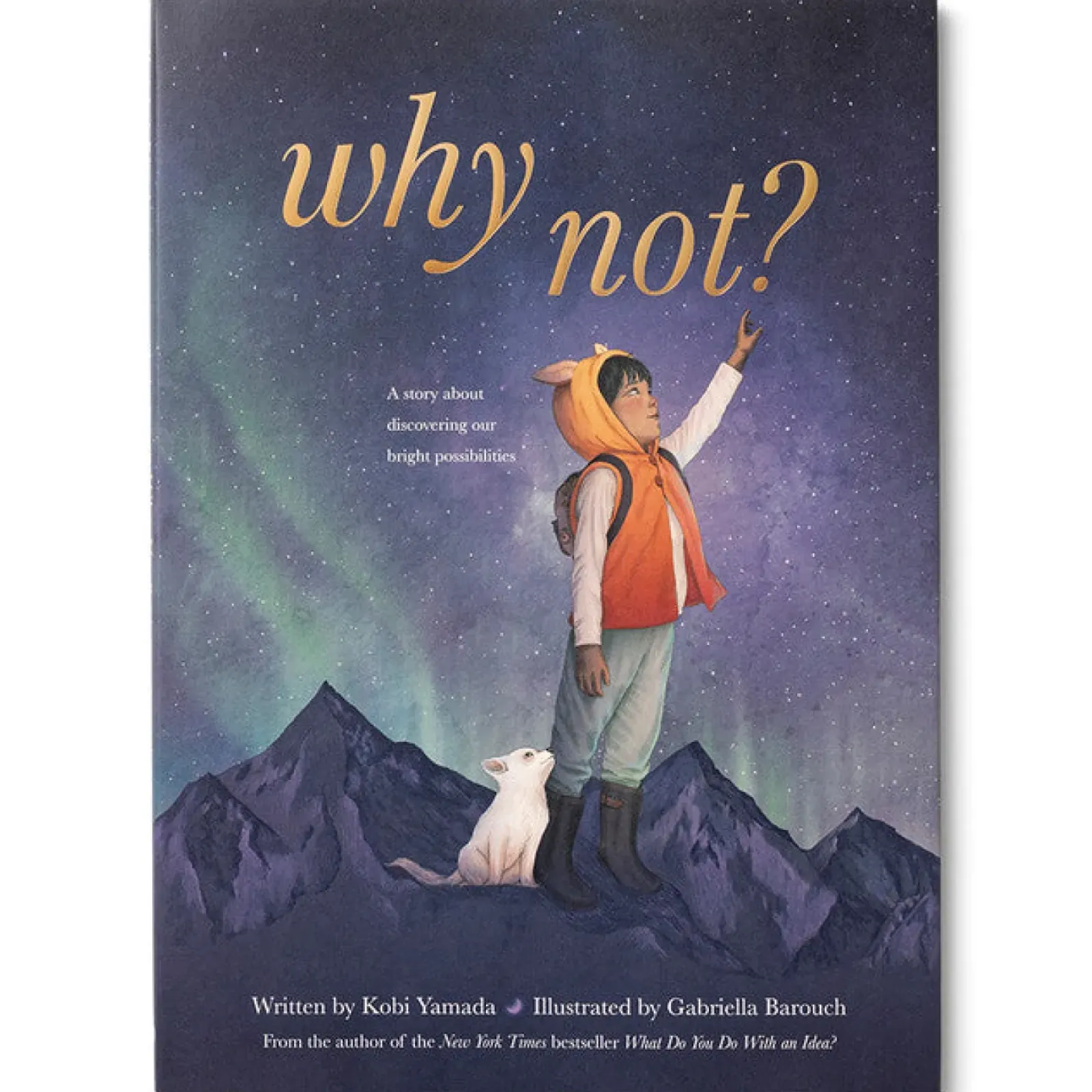 Compendium Why Not? Outlet